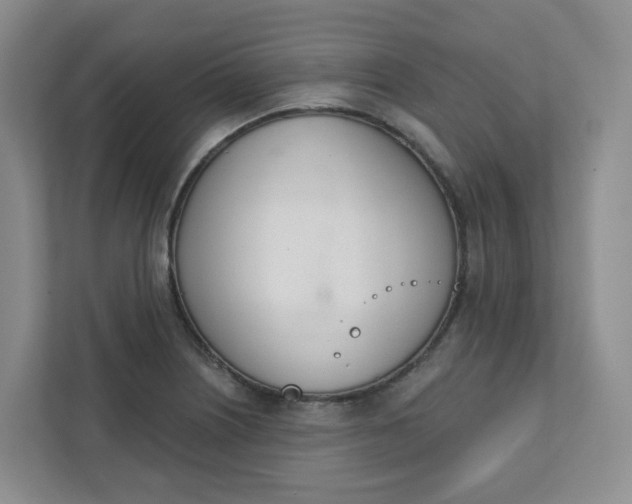 X0000111891226200908061327