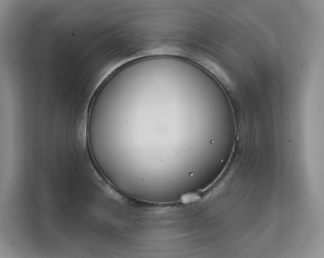 X0000111891228200908061327