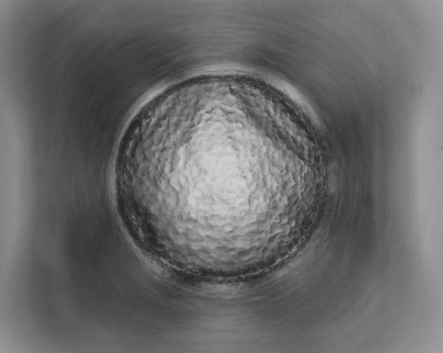 X0000111891229200908061327