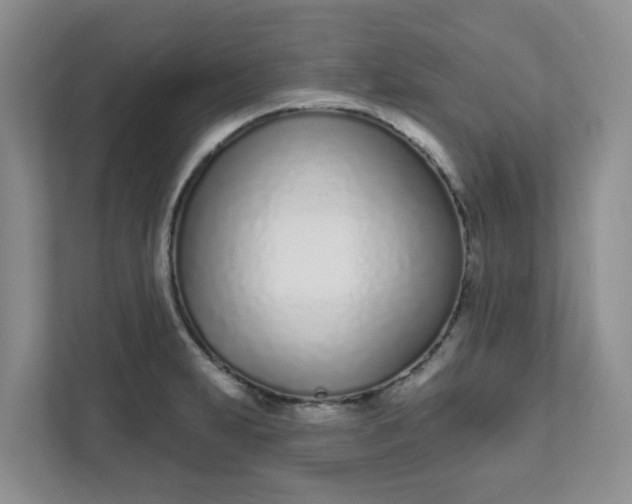 X0000111891231200908061327