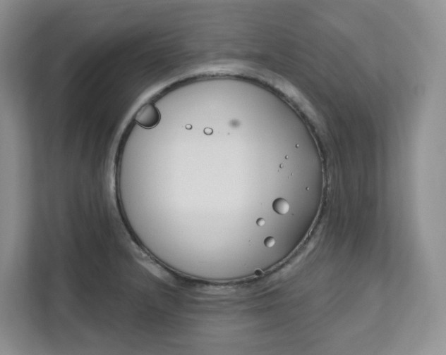 X0000111891232200908061327