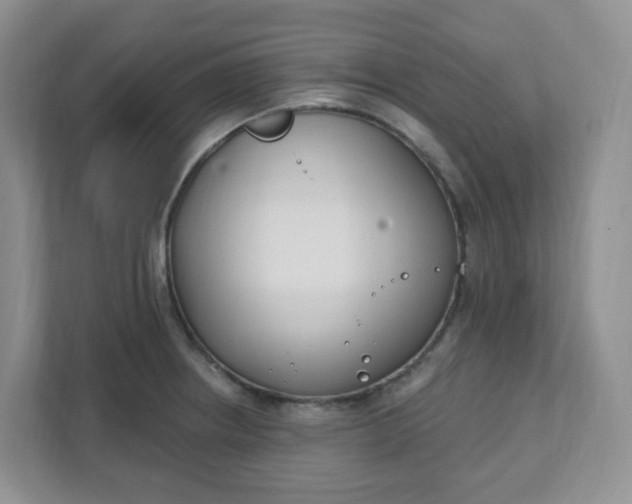 X0000111891234200908061327