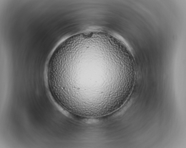 X0000111891235200908061327