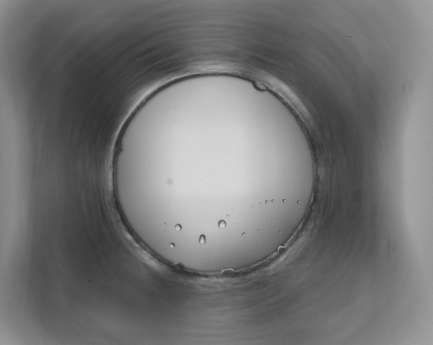 X0000111891236200908061327