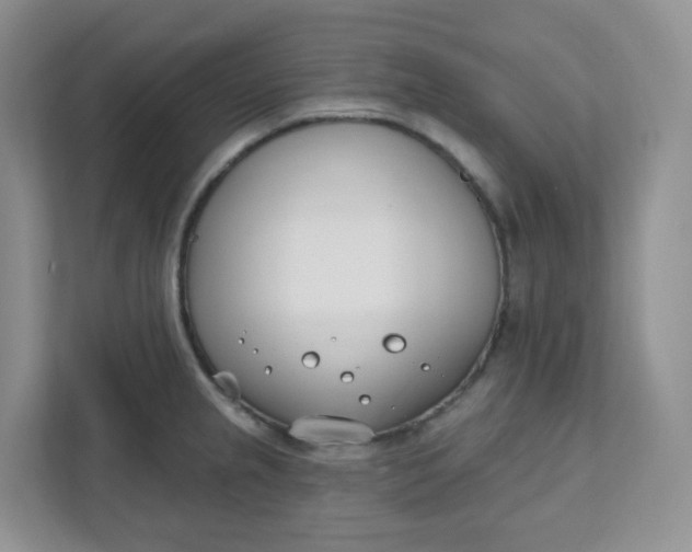 X0000111891237200908061327