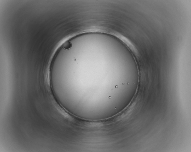 X0000111891238200908061327