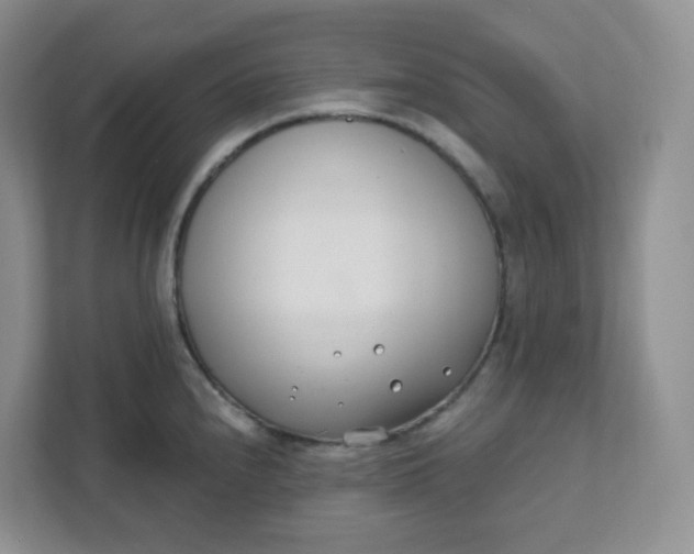 X0000111891240200908061327