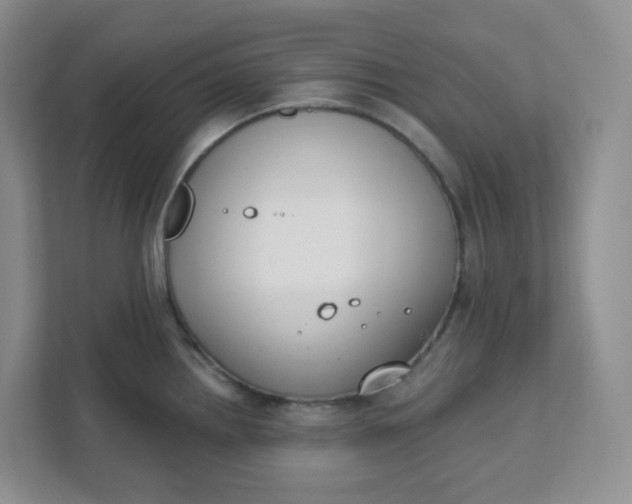 X0000111891242200908061327