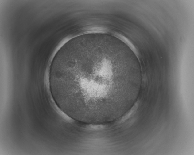 X0000111891243200908061327