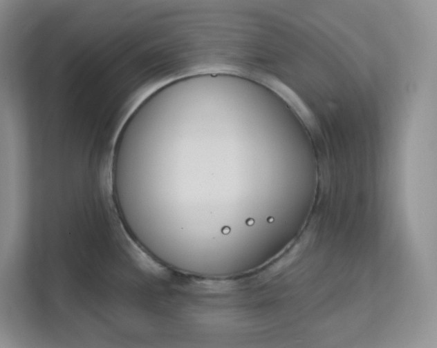 X0000111891244200908061327