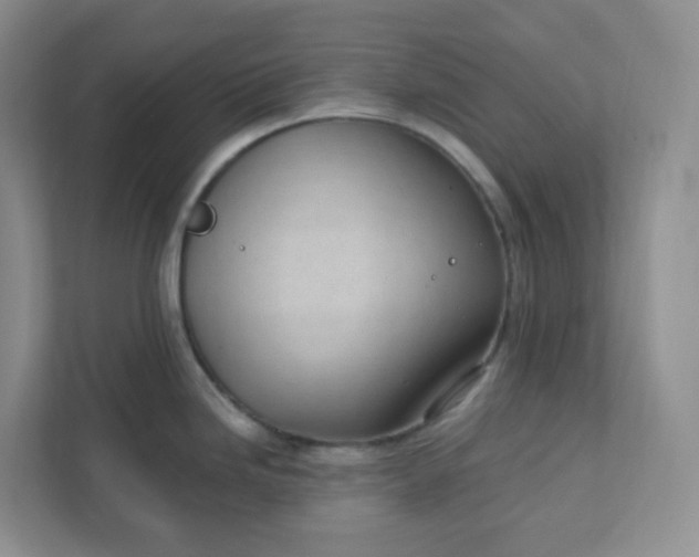 X0000111891246200908061327