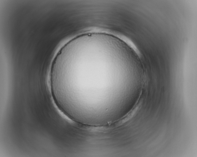 X0000111891247200908061327