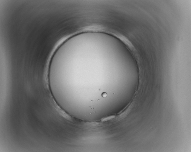 X0000111891248200908061327