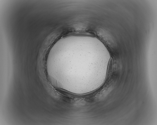 X0000111891249200908061327