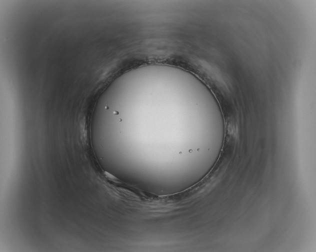 X0000111891252200908061327