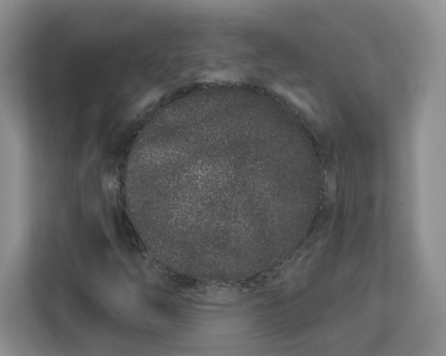 X0000111891254200908061327