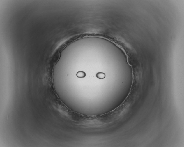 X0000111891256200908061327