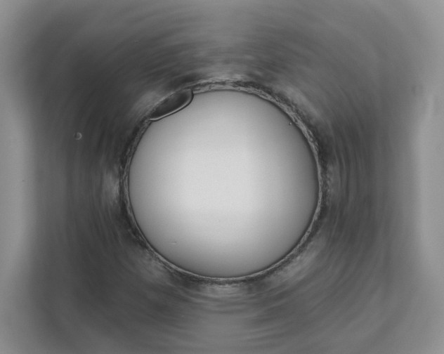 X0000111891257200908061327