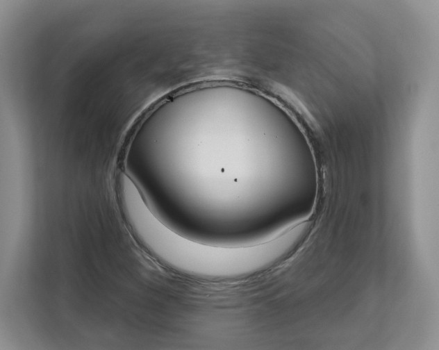 X0000111891260200908061327