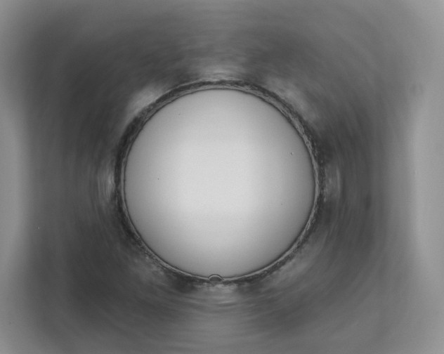 X0000111891261200908061327