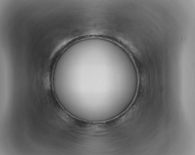 X0000111891262200908061327