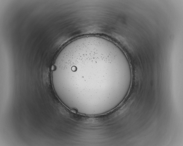 X0000111891265200908061327