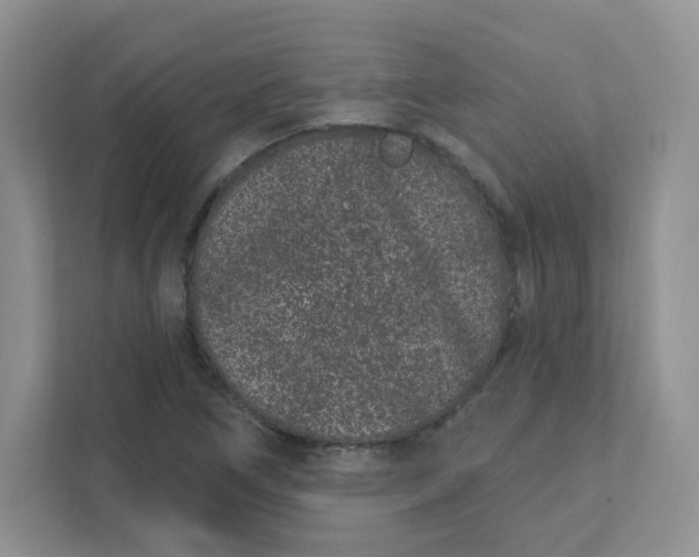 X0000111891266200908061327