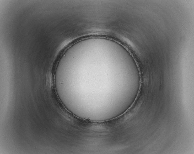 X0000111891267200908061327