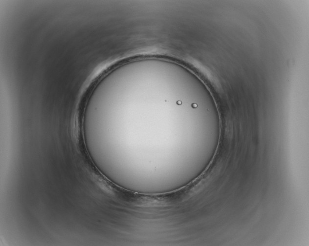 X0000111891270200908061327