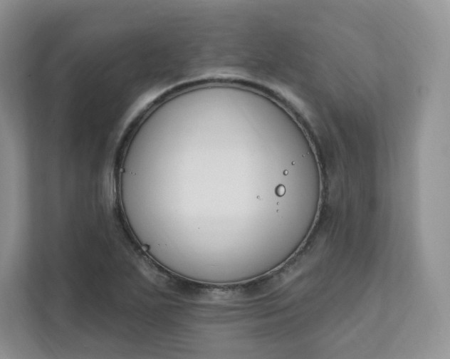 X0000111891271200908061327