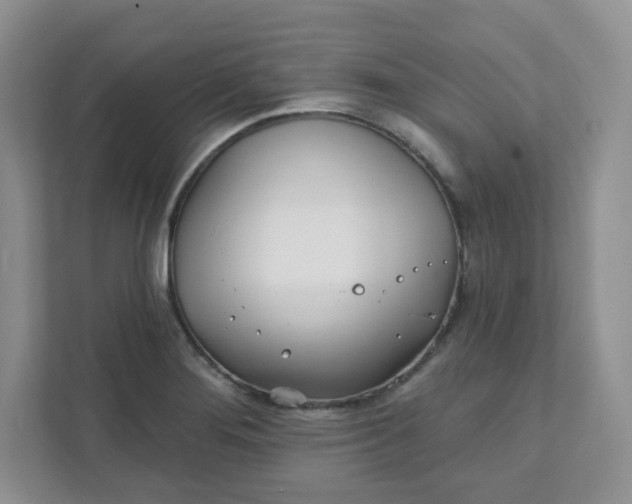 X0000111891276200908061326