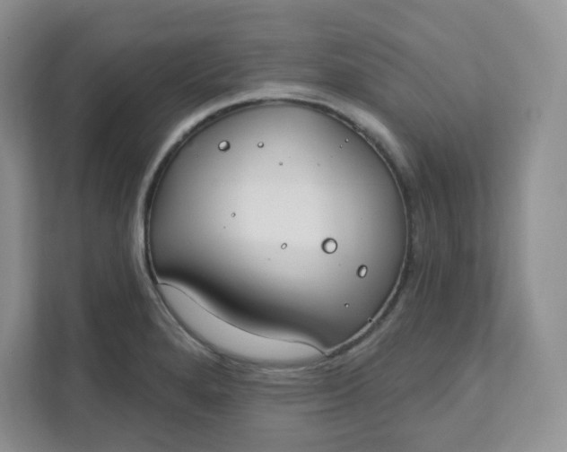 X0000111891280200908061326