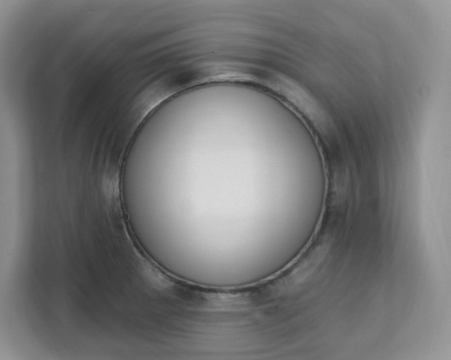 X0000111891281200908061326