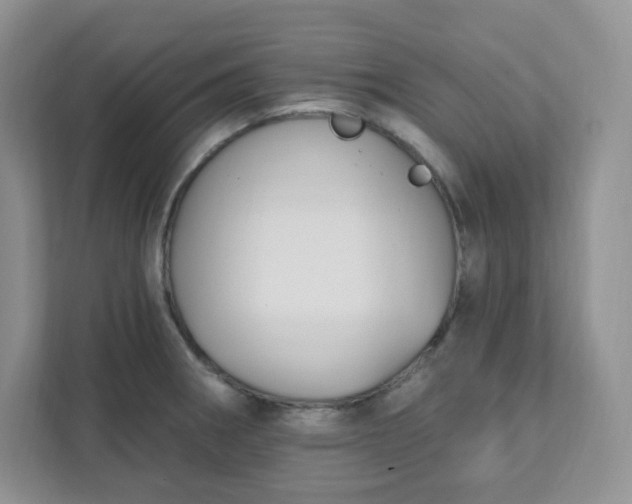 X0000111891282200908061326