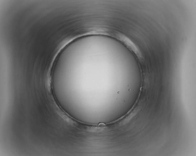 X0000111891284200908061326