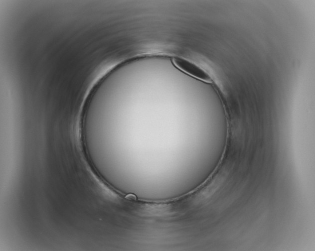 X0000111891285200908061326