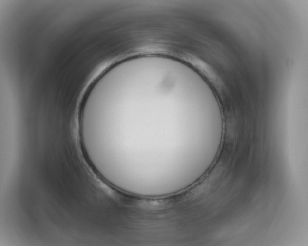 X0000111891286200908061326