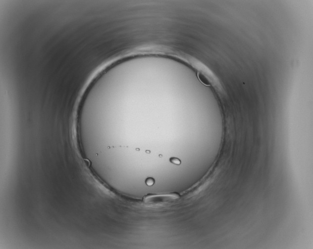 X0000111891288200908061326