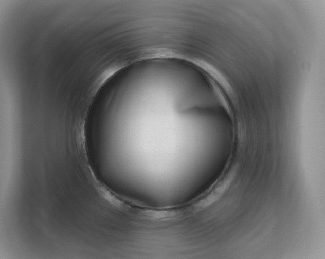 X0000111891289200908061326