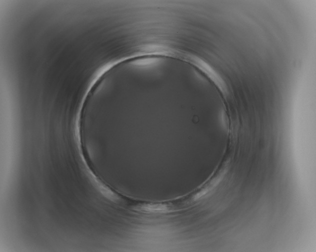 X0000111891291200908061326