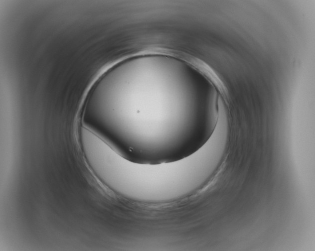 X0000111891292200908061326