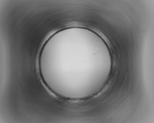 X0000111891293200908061326