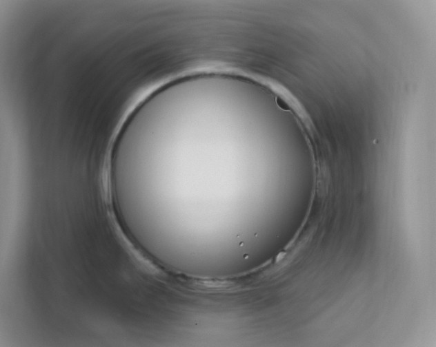 X0000111891295200908061326