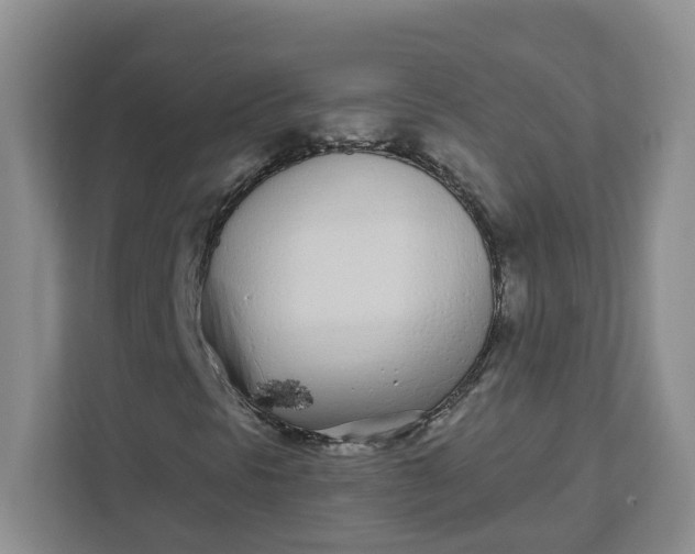 X0000111891297200908061326