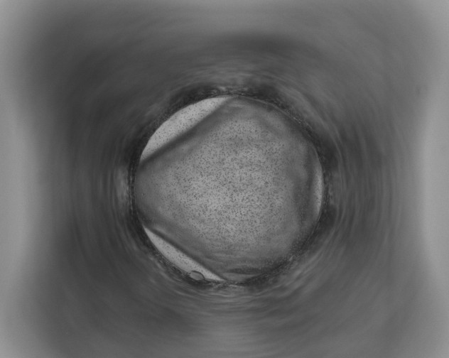 X0000111891298200908061326