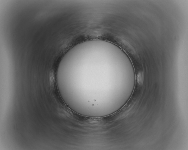 X0000111891299200908061326