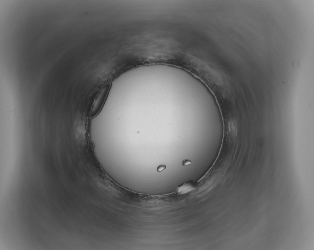 X0000111891300200908061326