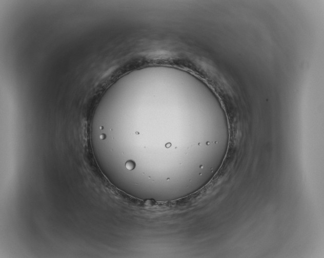 X0000111891301200908061326