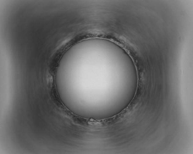 X0000111891302200908061326