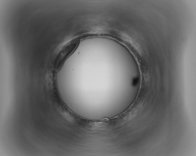 X0000111891304200908061326